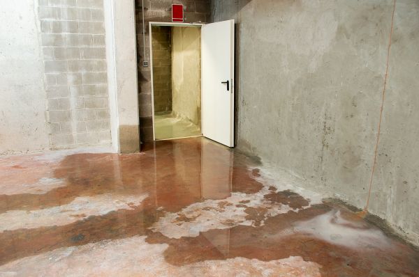 Leaking Basement Repair in Sanford